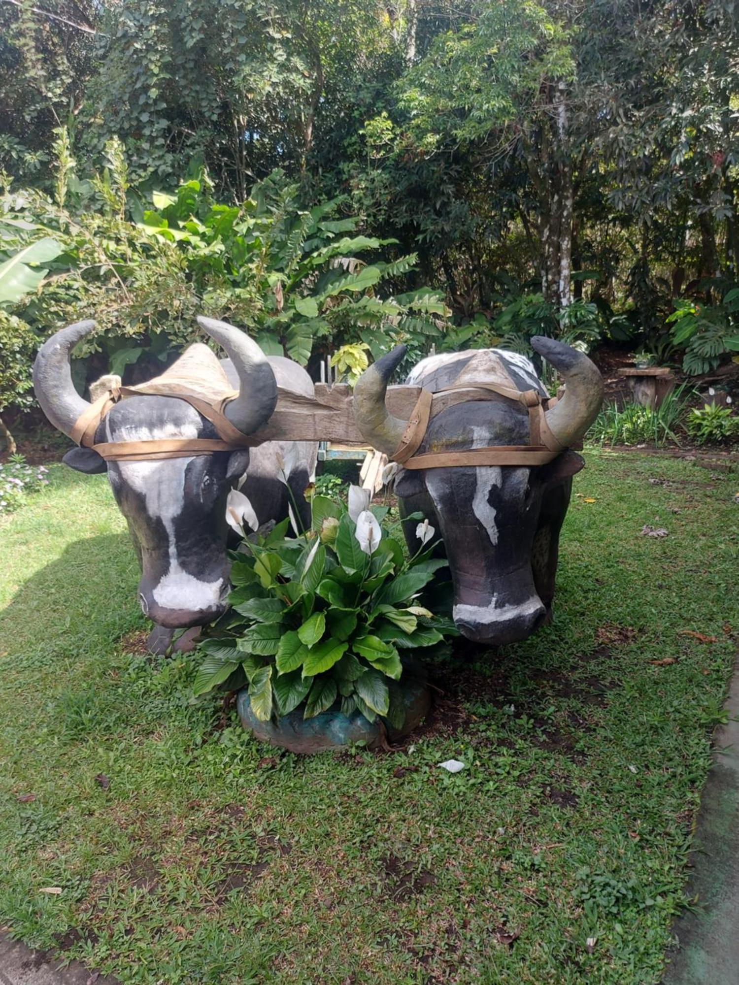 Alisson Hotel Y Restaurant Monteverde Eksteriør bilde